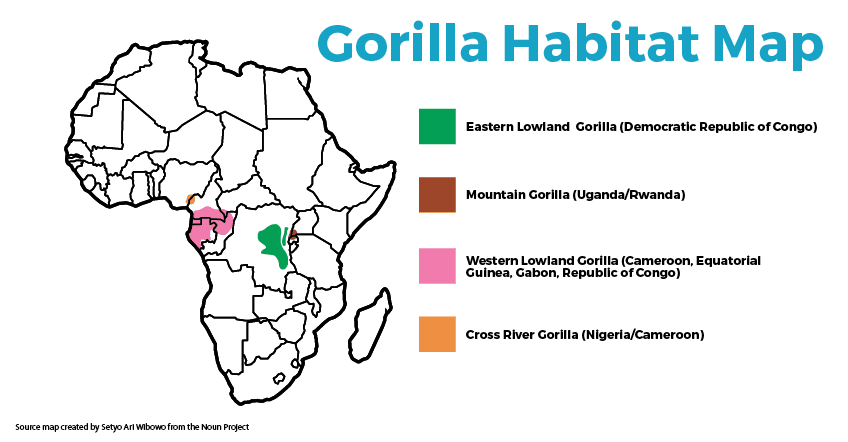 Koala Habitat Map - Discover Their Range | See The Wild